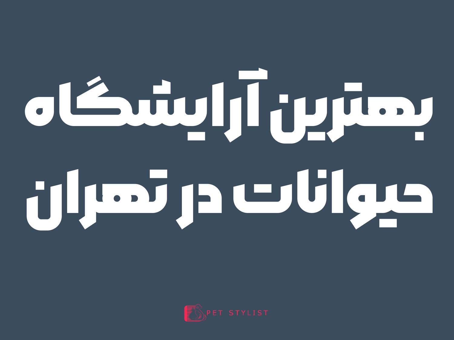 بهترین  آرایشگاه حیوانات  تهران